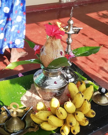 Thaipongal Celebrations