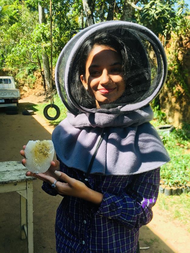 Bee Farming Workshop