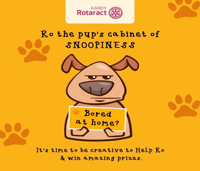 ‘Ro’s Cabinet of Snoopiness’